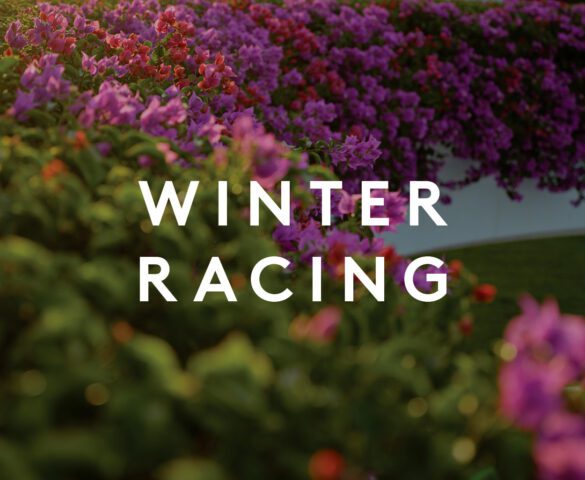 The Ville Winter Racing Season